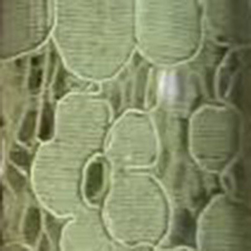 Lace Fabric Bridal for Bridal Wholesale Supplier 14